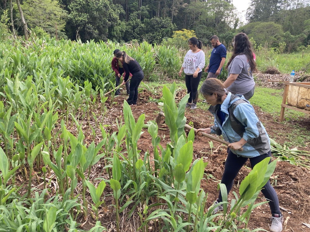 Voluntariado conectando pessoas, propósito e transformação: a experiência da Mitsui Brasil